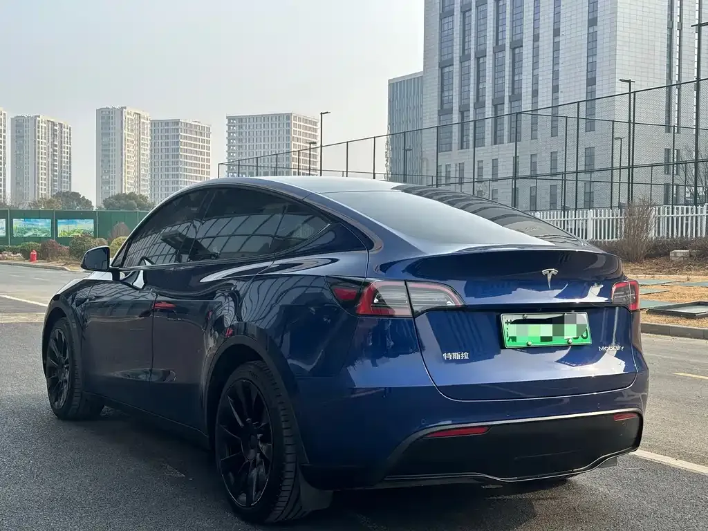 Tesla Model Y 2021 из CN, фото 8