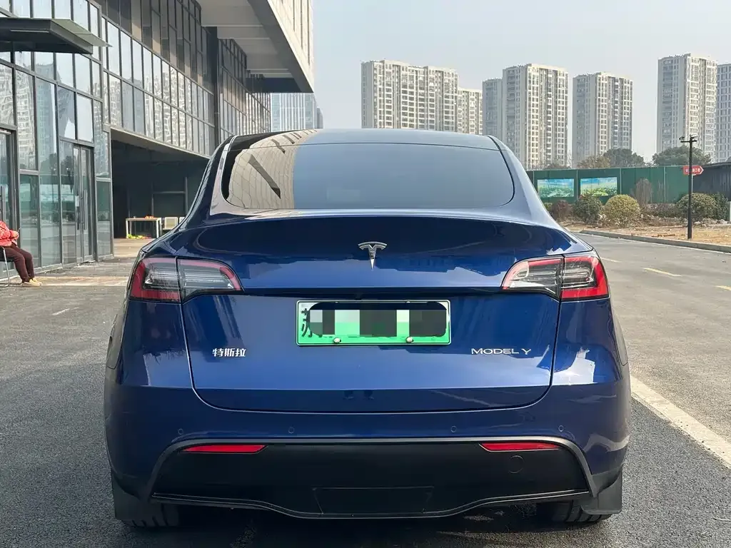 Tesla Model Y 2021 из CN, фото 9