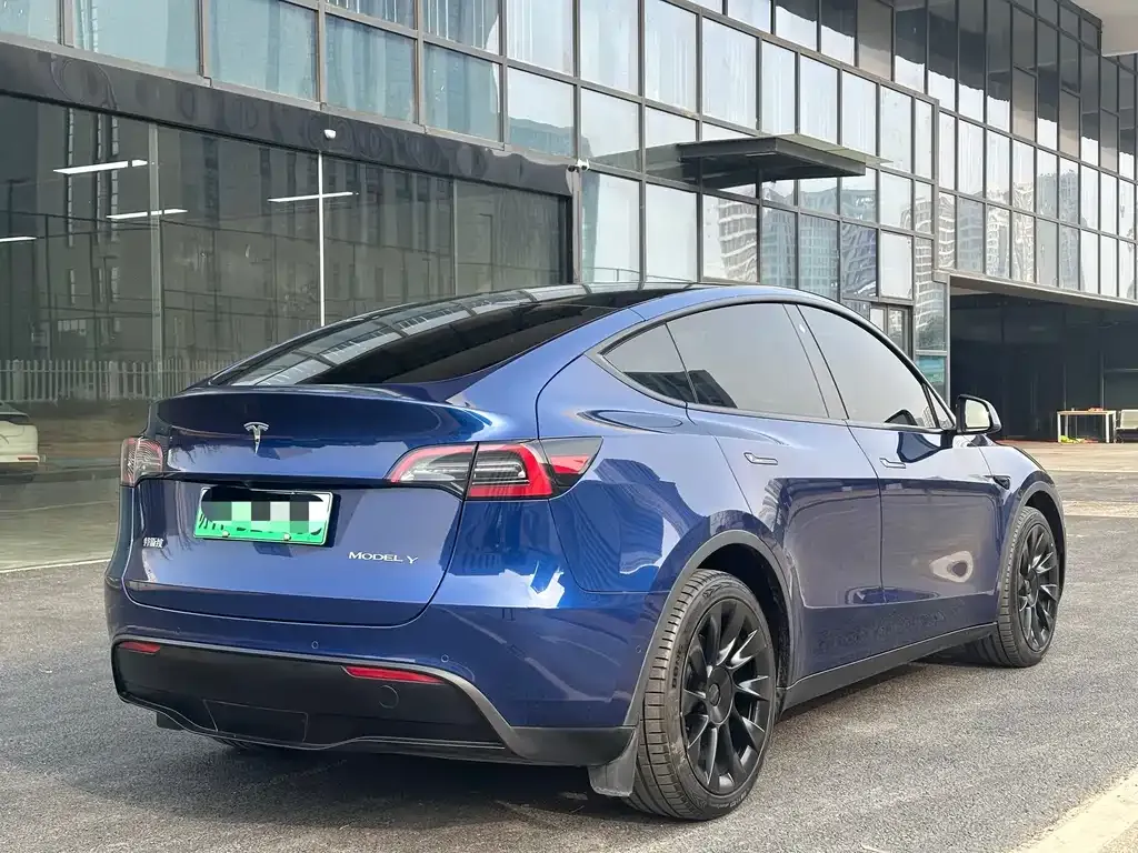 Tesla Model Y 2021 из CN, фото 2