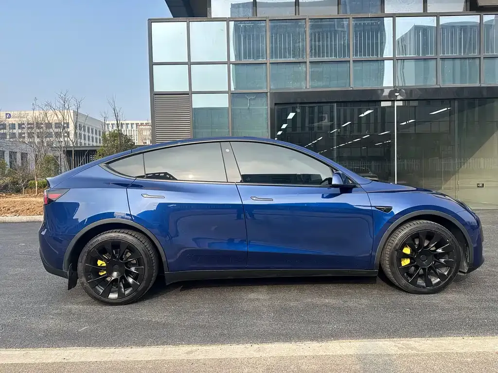 Tesla Model Y 2021 из CN, фото 4