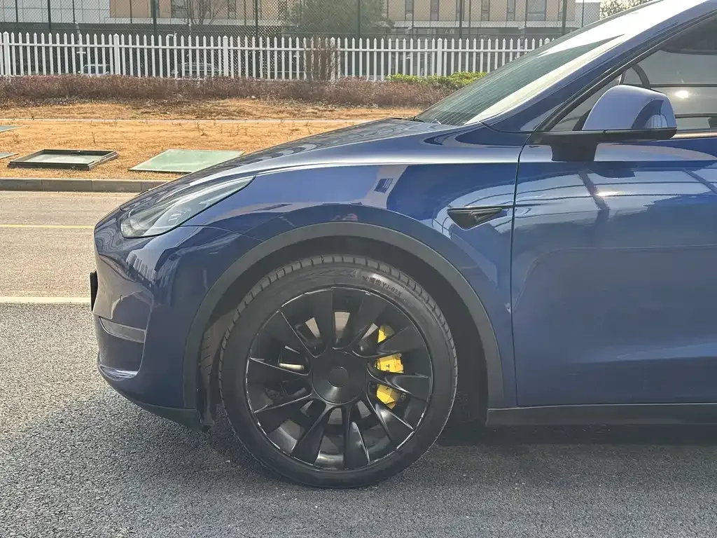 Tesla Model Y 2021 из CN, фото 6