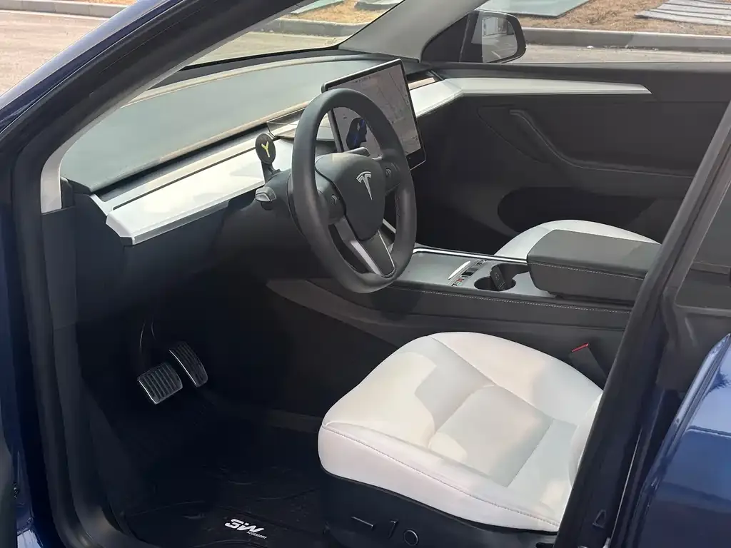 Tesla Model Y 2021 из CN, фото 5
