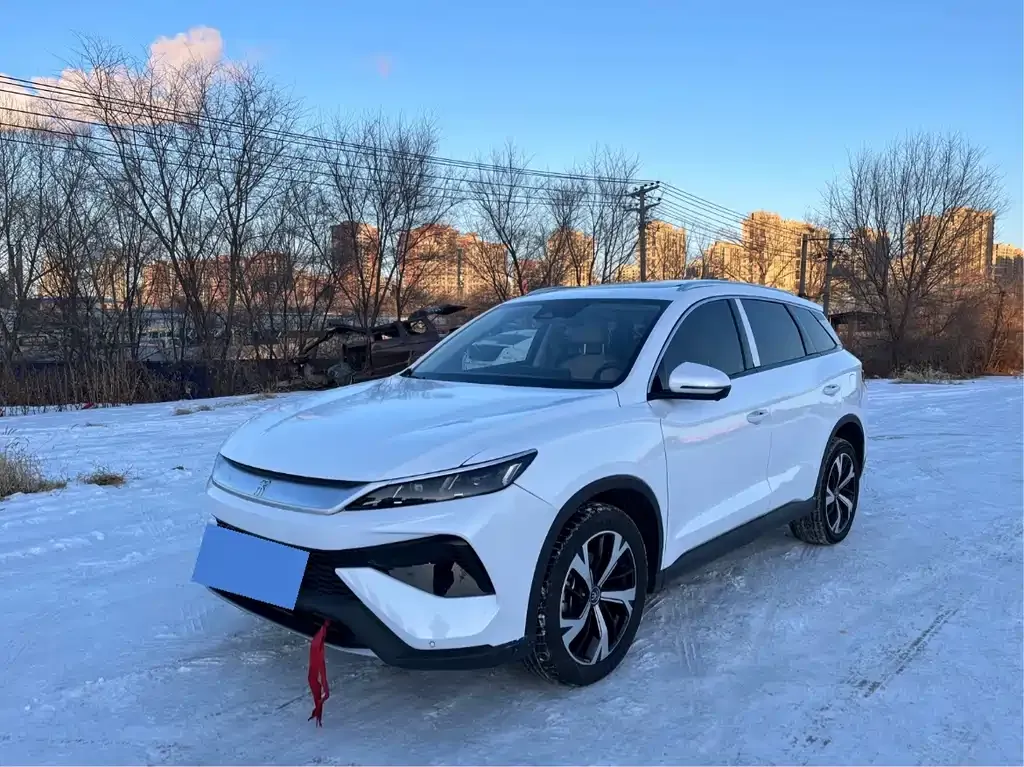 BYD Pro New Energy 2025 из CN, фото 1