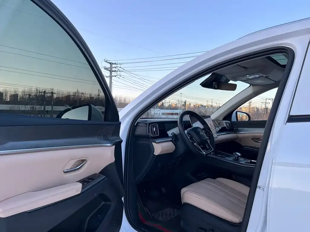 BYD Pro New Energy 2025 из CN, фото 5