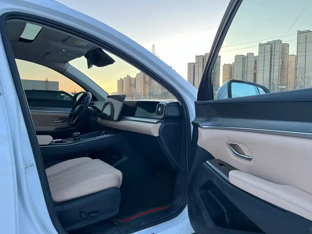 BYD Pro New Energy 2025 из CN, фото 6