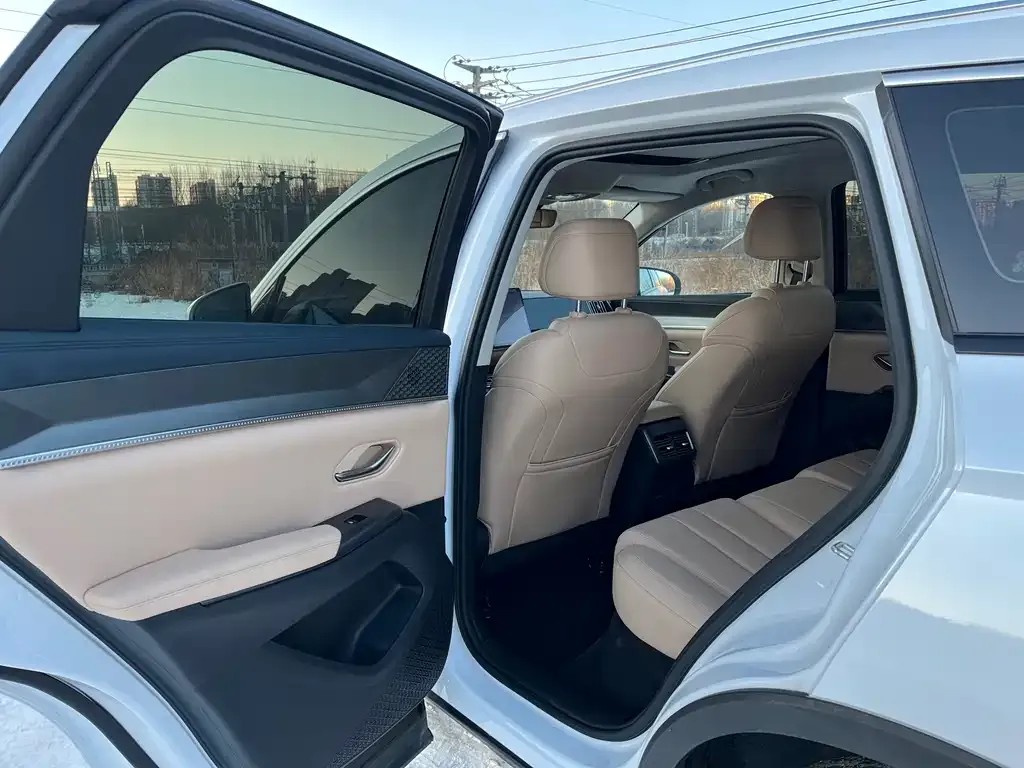BYD Pro New Energy 2025 из CN, фото 2
