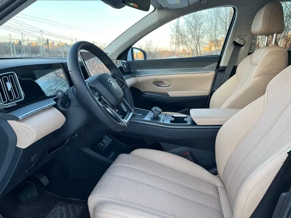 BYD Pro New Energy 2025 из CN, фото 7