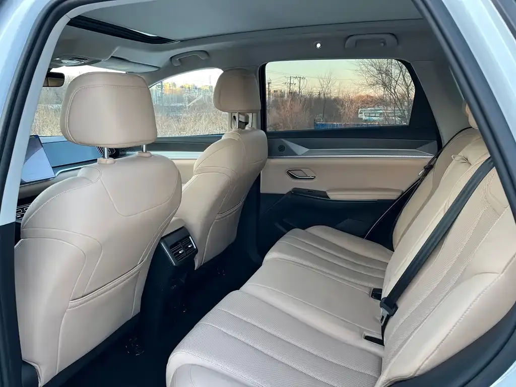 BYD Pro New Energy 2025 из CN, фото 8