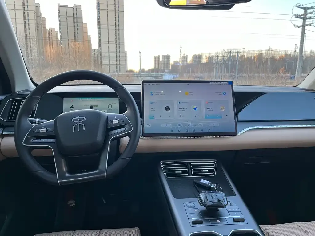 BYD Pro New Energy 2025 из CN, фото 9