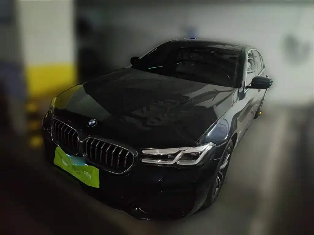 BMW 5 Series 2021 из CN, фото 1