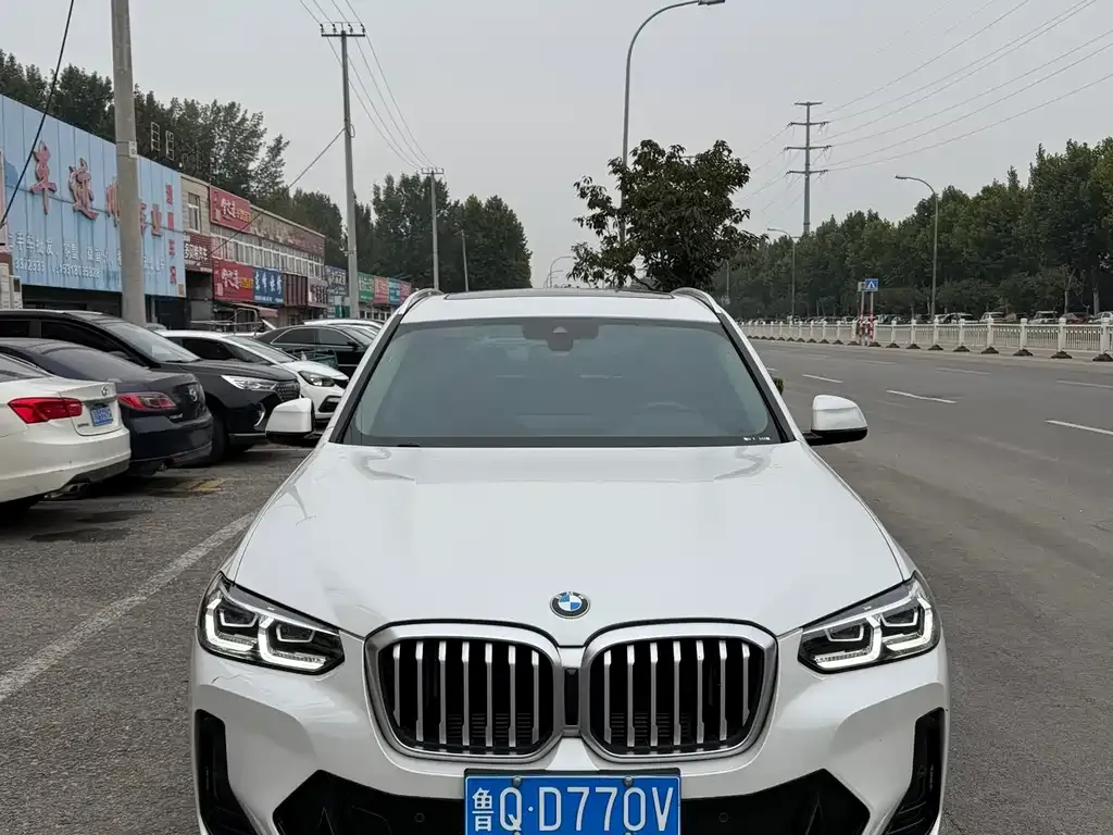 BMW X3 2022 из CN, фото 6