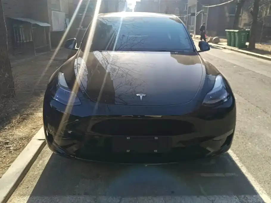 Tesla Model Y 2021 из CN, фото 5