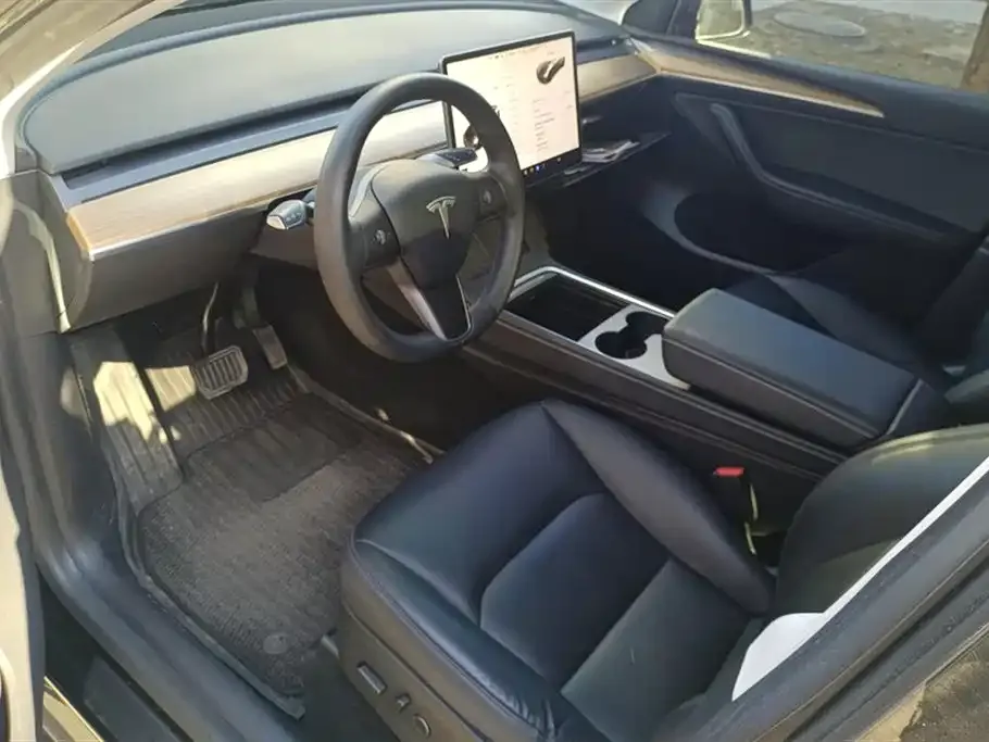 Tesla Model Y 2021 из CN, фото 4