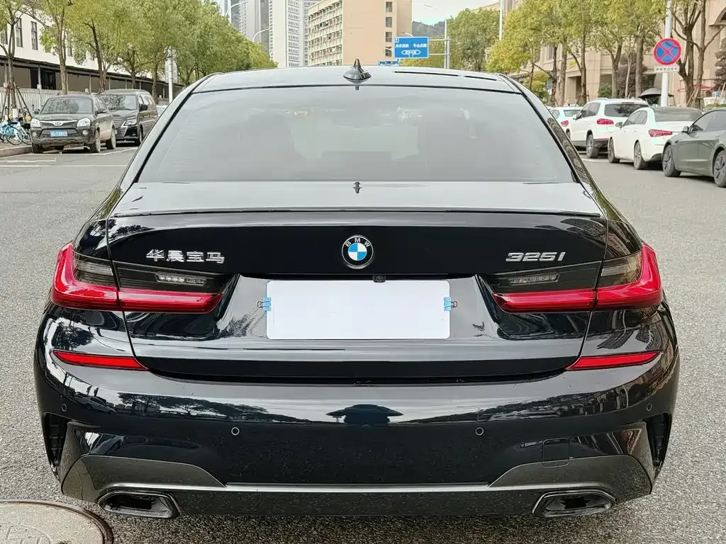 BMW 3 Series 2021 из CN, фото 8