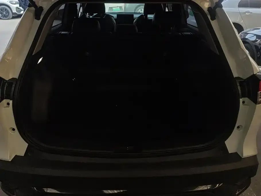 Toyota Frontlander 2024 из CN, фото 4