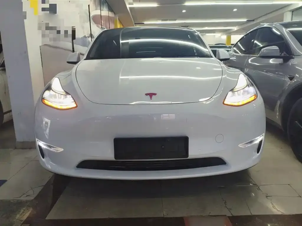 Tesla Model Y 2023 из CN, фото 2