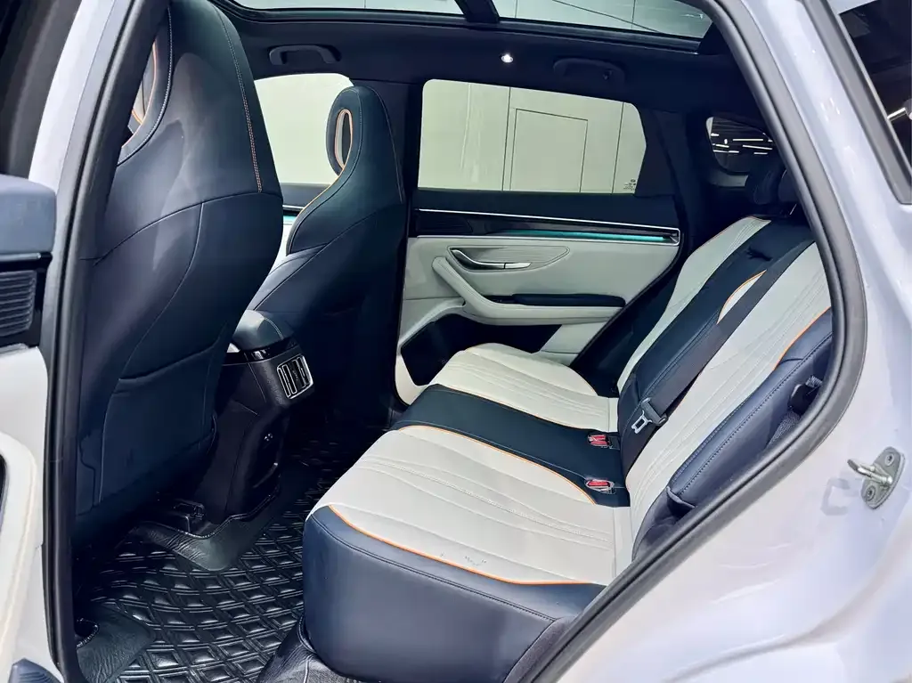 BYD PLUS New Energy 2022 из CN, фото 2