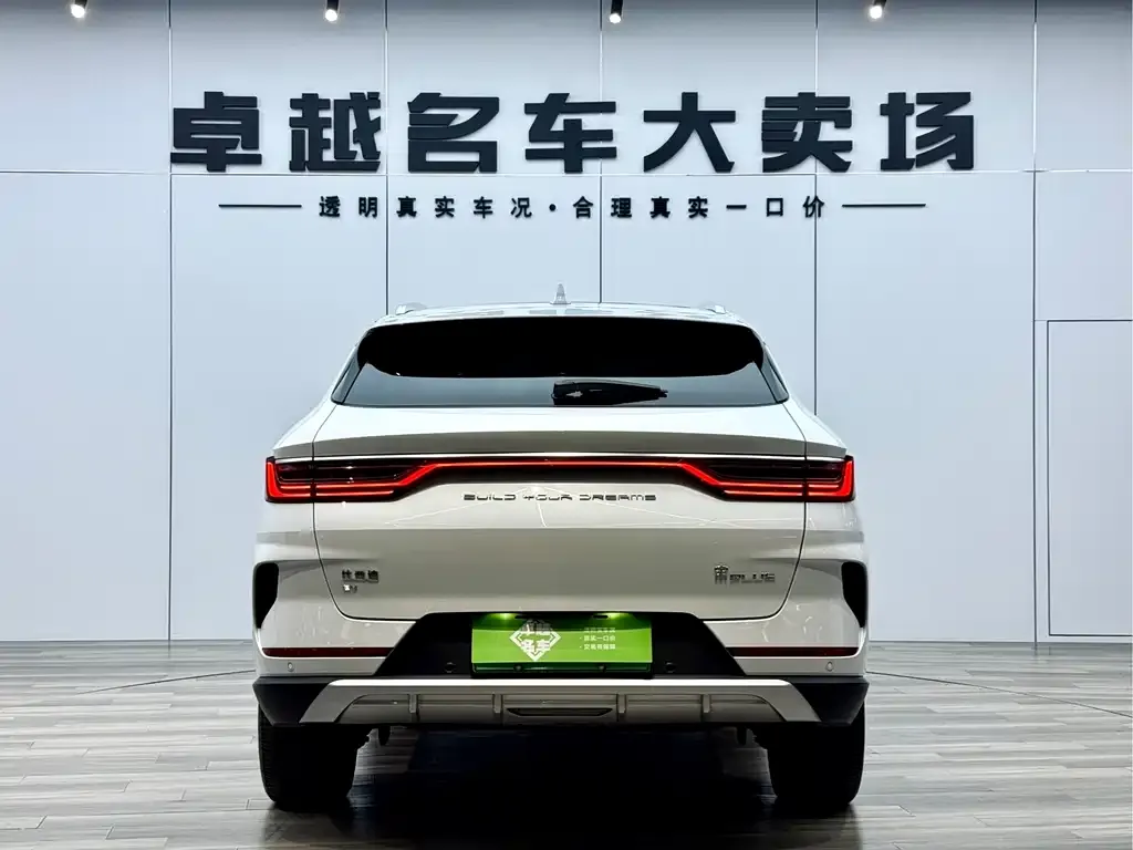 BYD PLUS New Energy 2022 из CN, фото 7