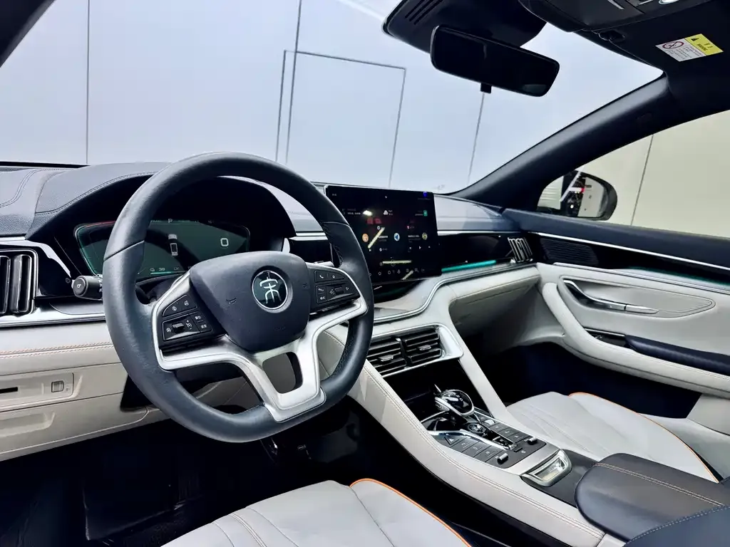 BYD PLUS New Energy 2022 из CN, фото 6