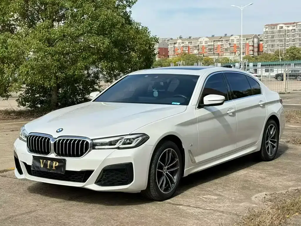BMW 5 Series 2023 из CN, фото 1