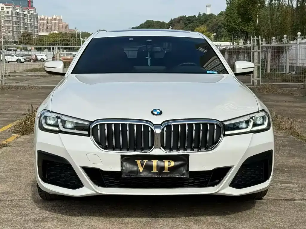 BMW 5 Series 2023 из CN, фото 5