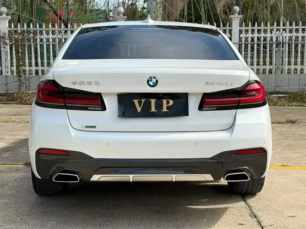 BMW 5 Series 2023 из CN, фото 8