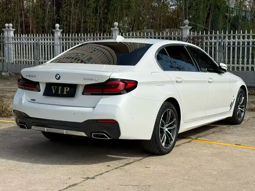 BMW 5 Series 2023 из CN, фото 6