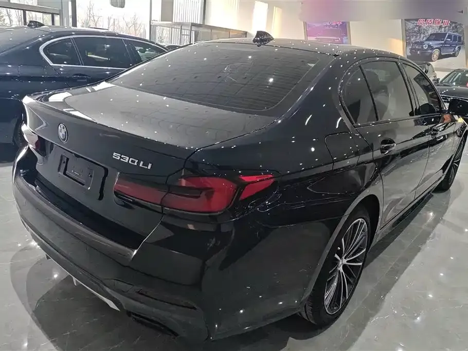 BMW 5 Series 2023 из CN, фото 5