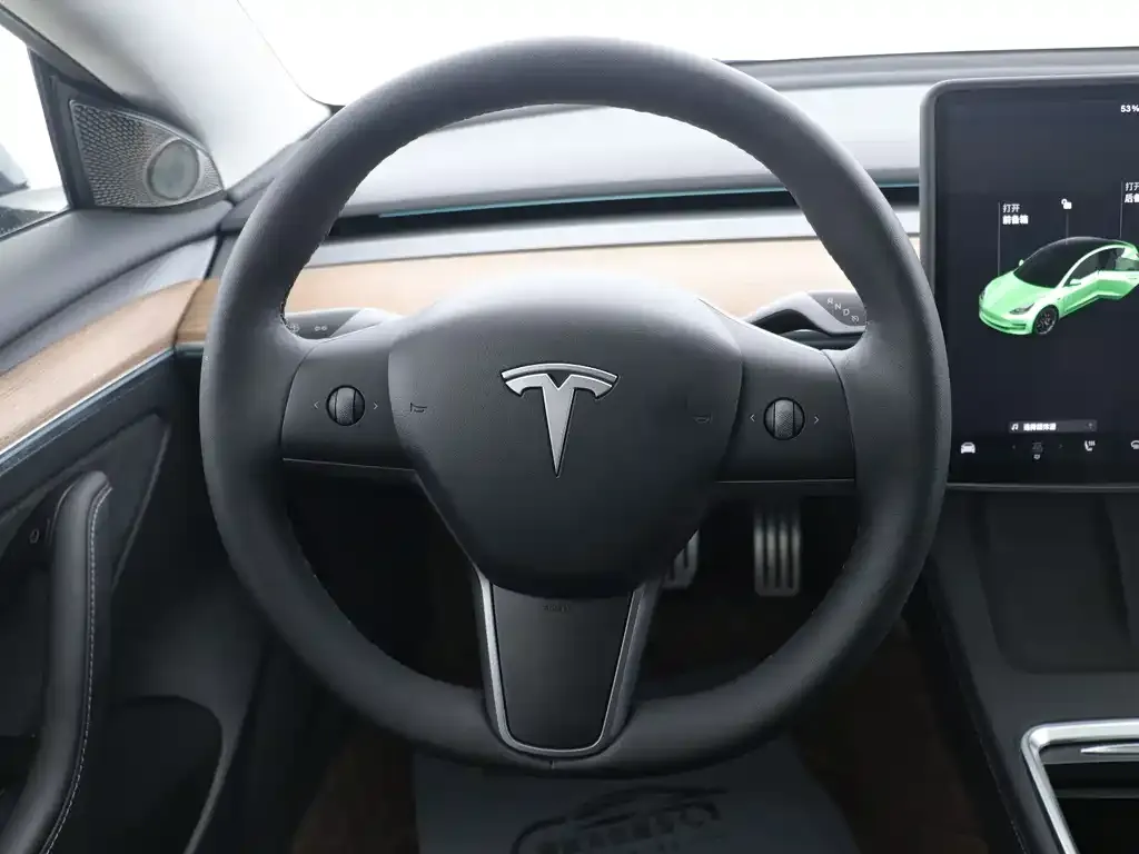 Tesla Model 3 2021 из CN, фото 5