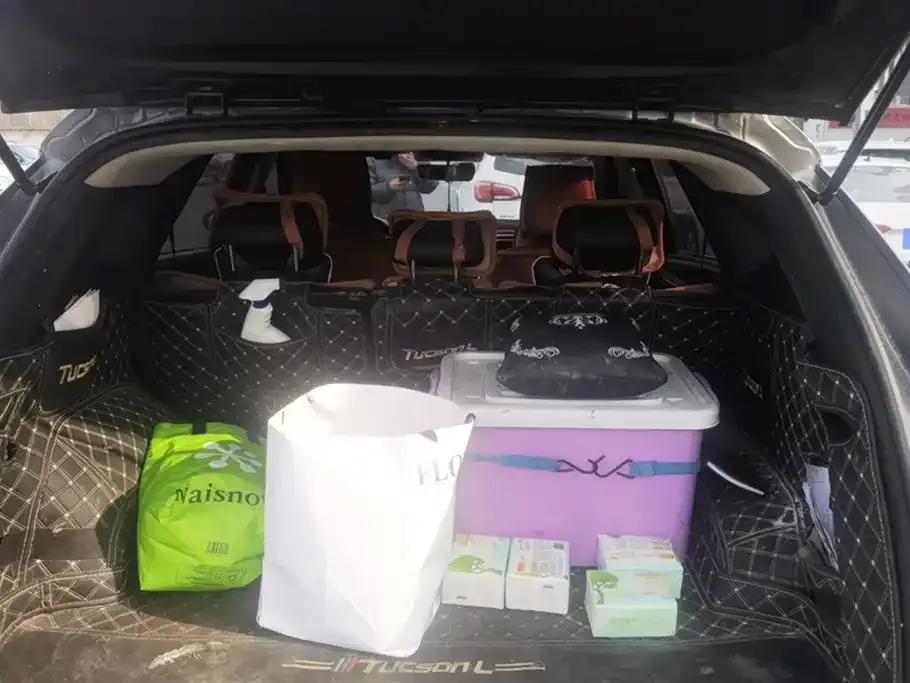Hyundai Tucson 2023 из CN, фото 8