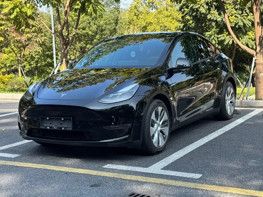 Tesla Model Y — фото 1