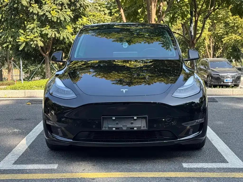Tesla Model Y — фото 9