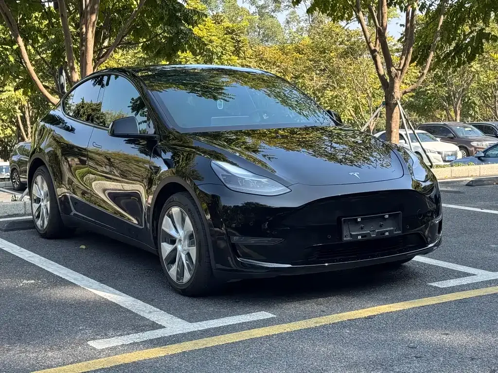 Tesla Model Y — фото 7