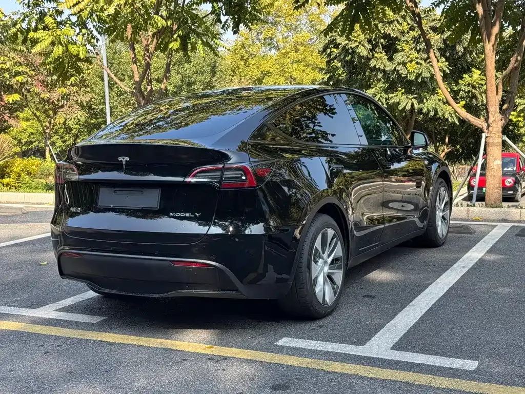 Tesla Model Y — фото 8