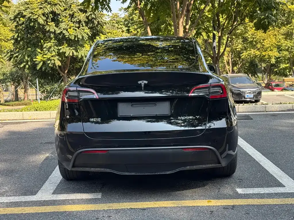 Tesla Model Y — фото 5