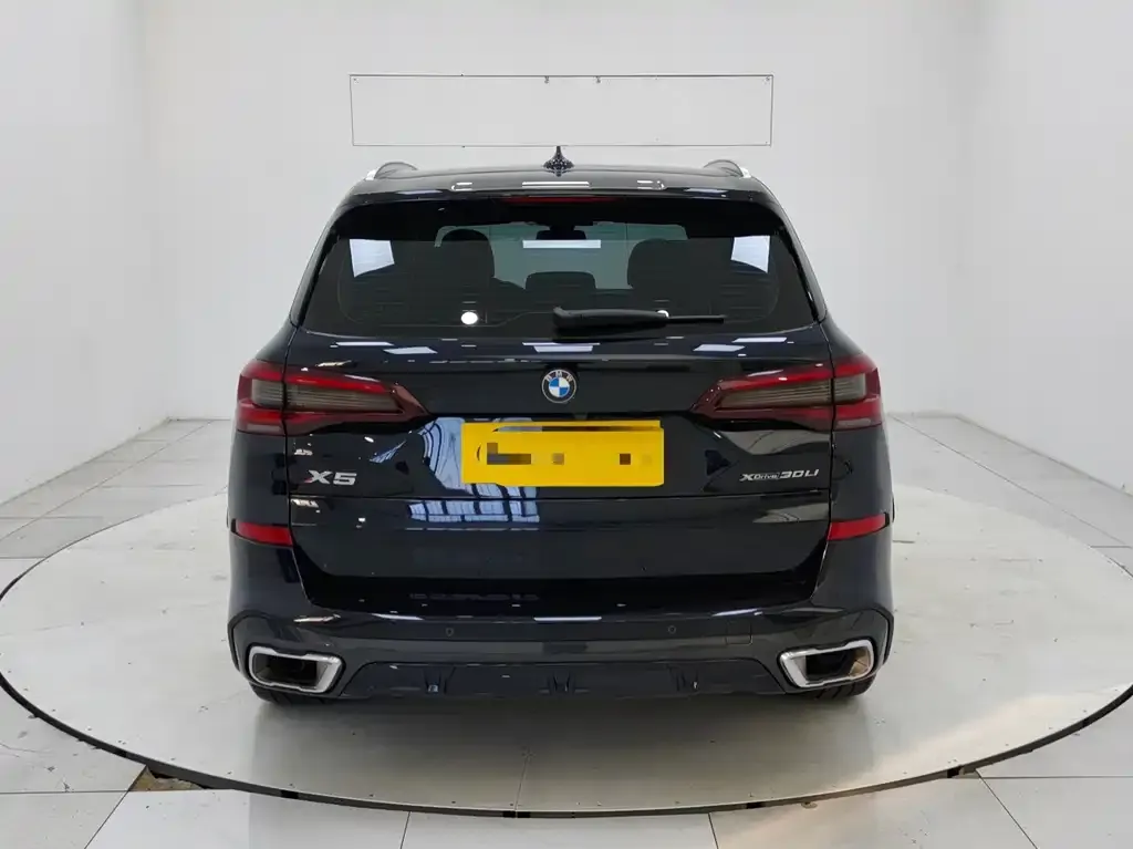 BMW X5 2023 из CN, фото 3