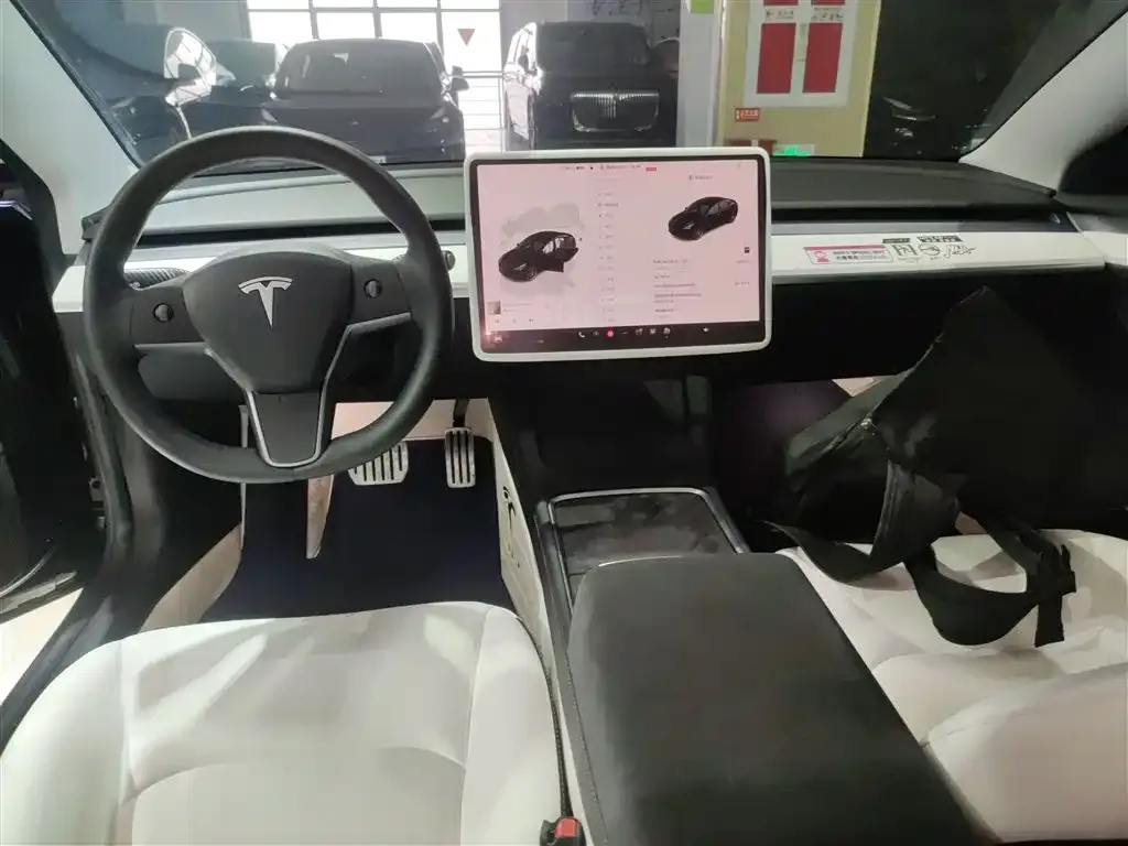 Tesla Model 3 2022 из CN, фото 9