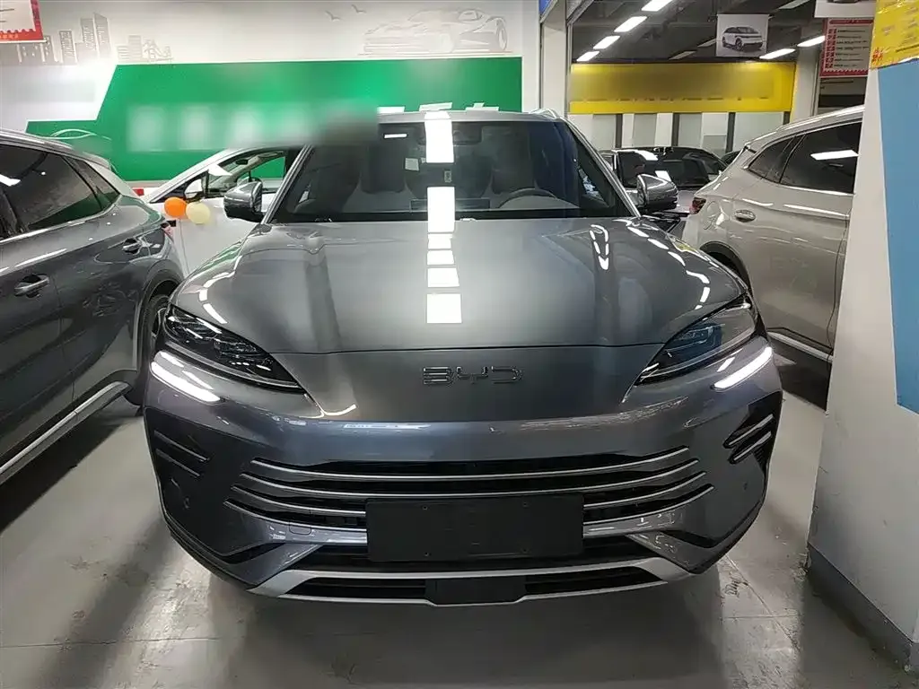 BYD PLUS New Energy 2025 из CN, фото 3