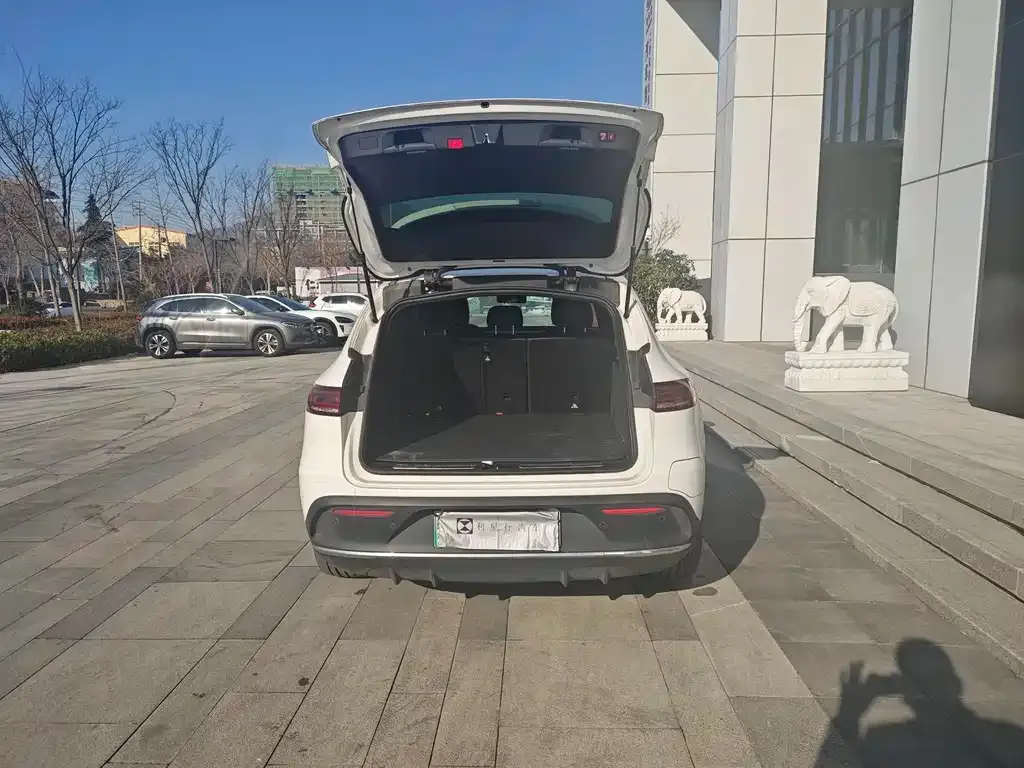 Mercedes-Benz EQC 2023 из CN, фото 6