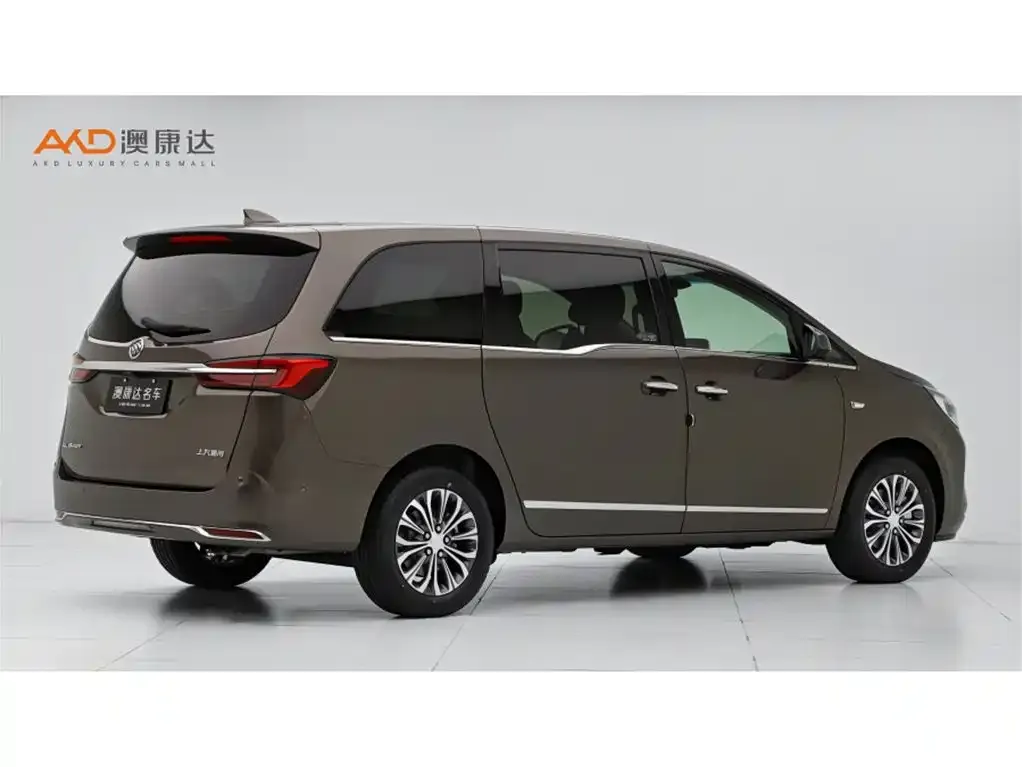 Buick GL8 2021 из CN, фото 3