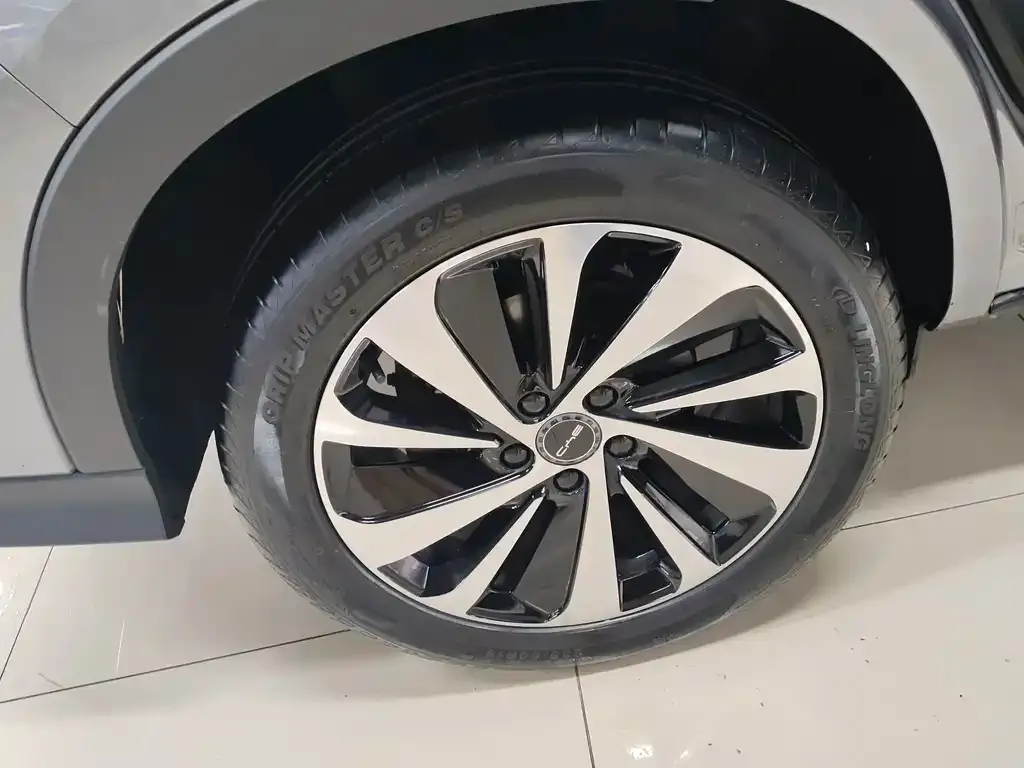 BYD PLUS New Energy 2023 из CN, фото 2