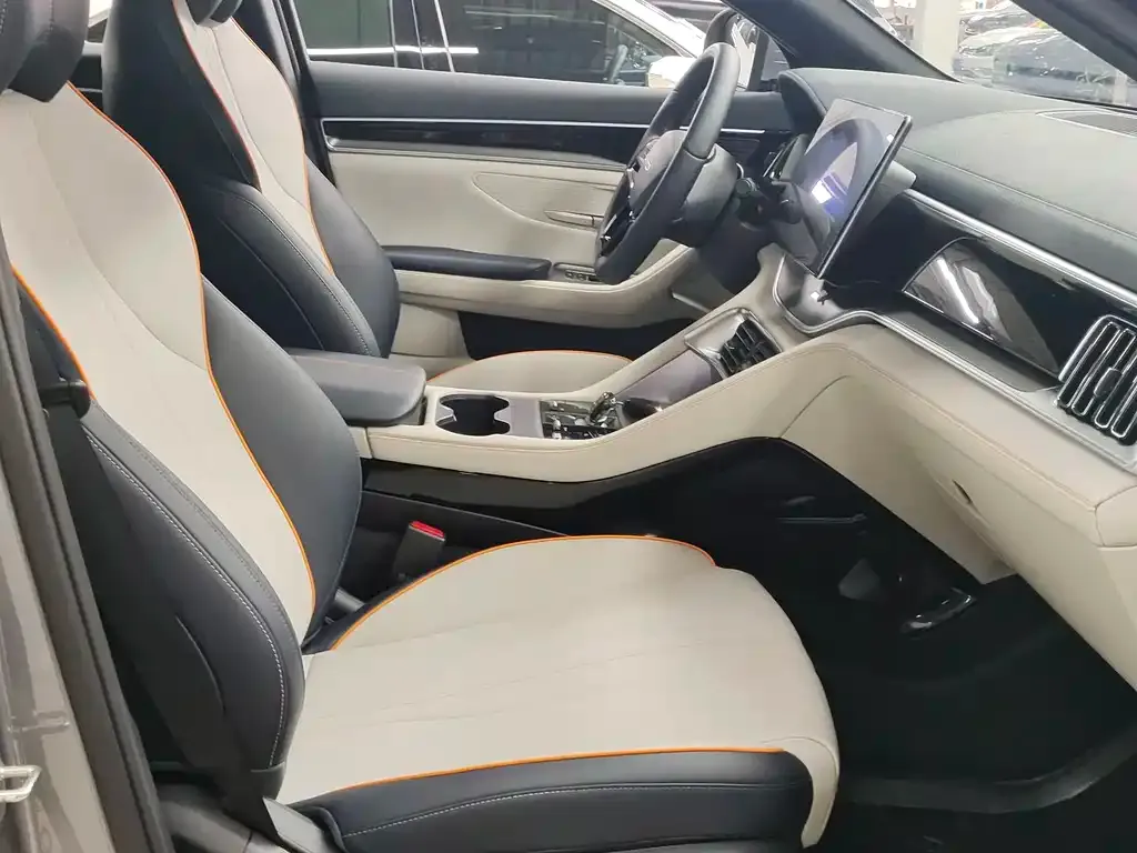 BYD PLUS New Energy 2023 из CN, фото 5