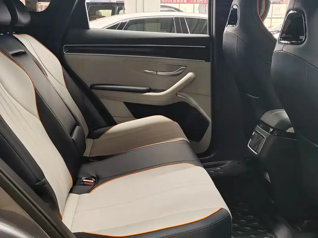 BYD PLUS New Energy 2023 из CN, фото 9