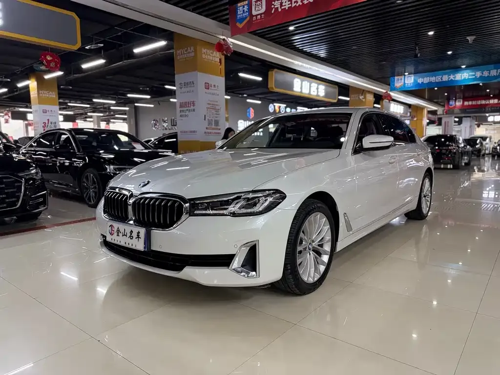 BMW 5 Series 2021 из CN, фото 1