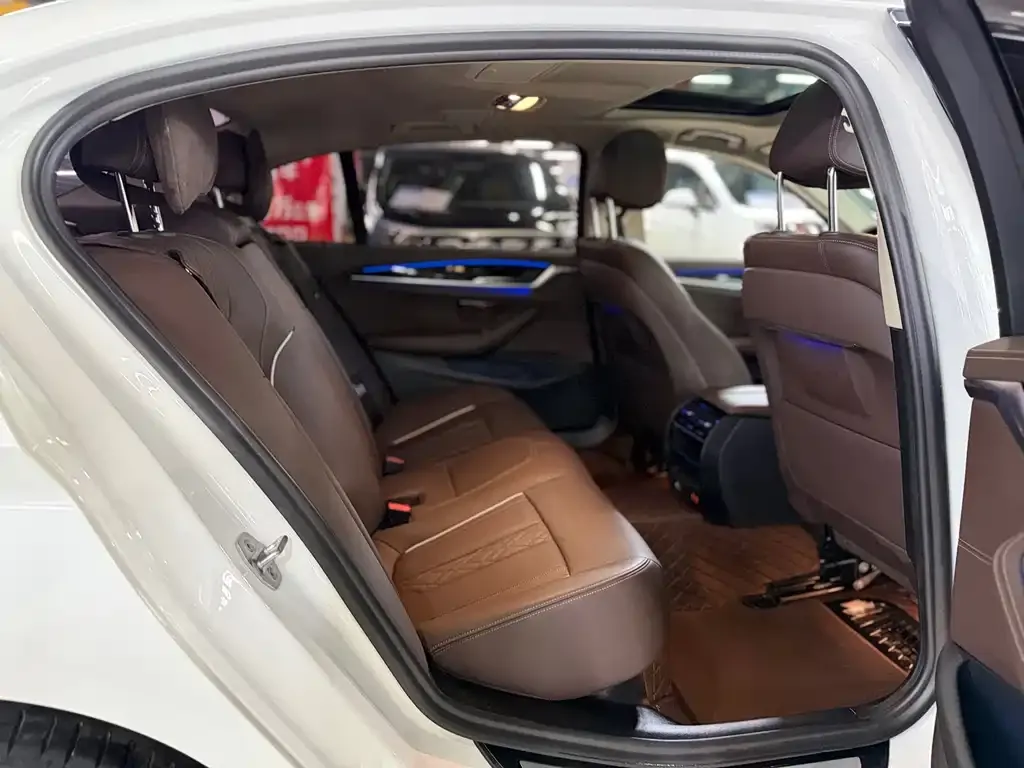 BMW 5 Series 2021 из CN, фото 6