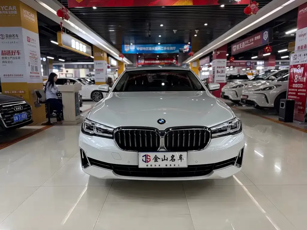 BMW 5 Series 2021 из CN, фото 9