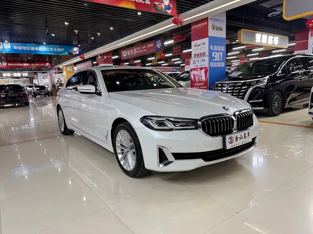BMW 5 Series 2021 из CN, фото 3