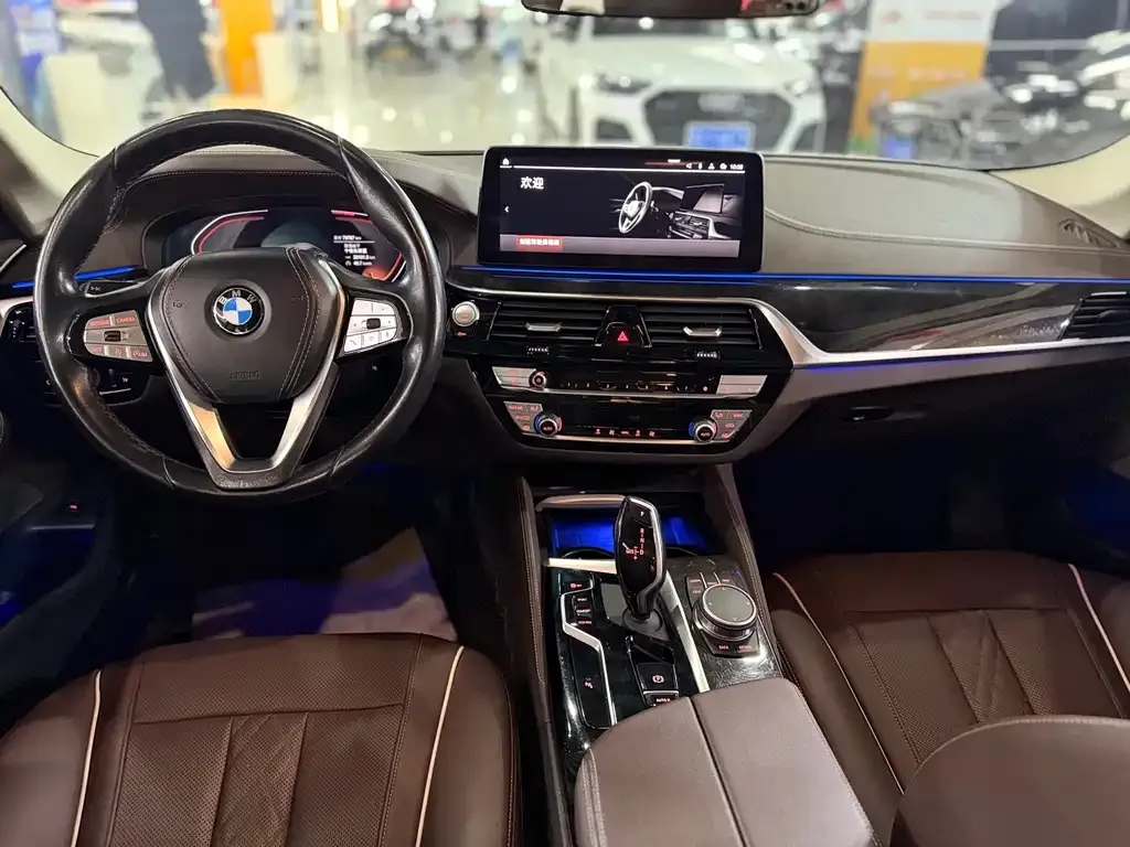 BMW 5 Series 2021 из CN, фото 8