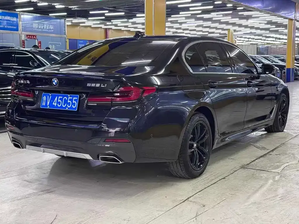 BMW 5 Series 2023 из CN, фото 9