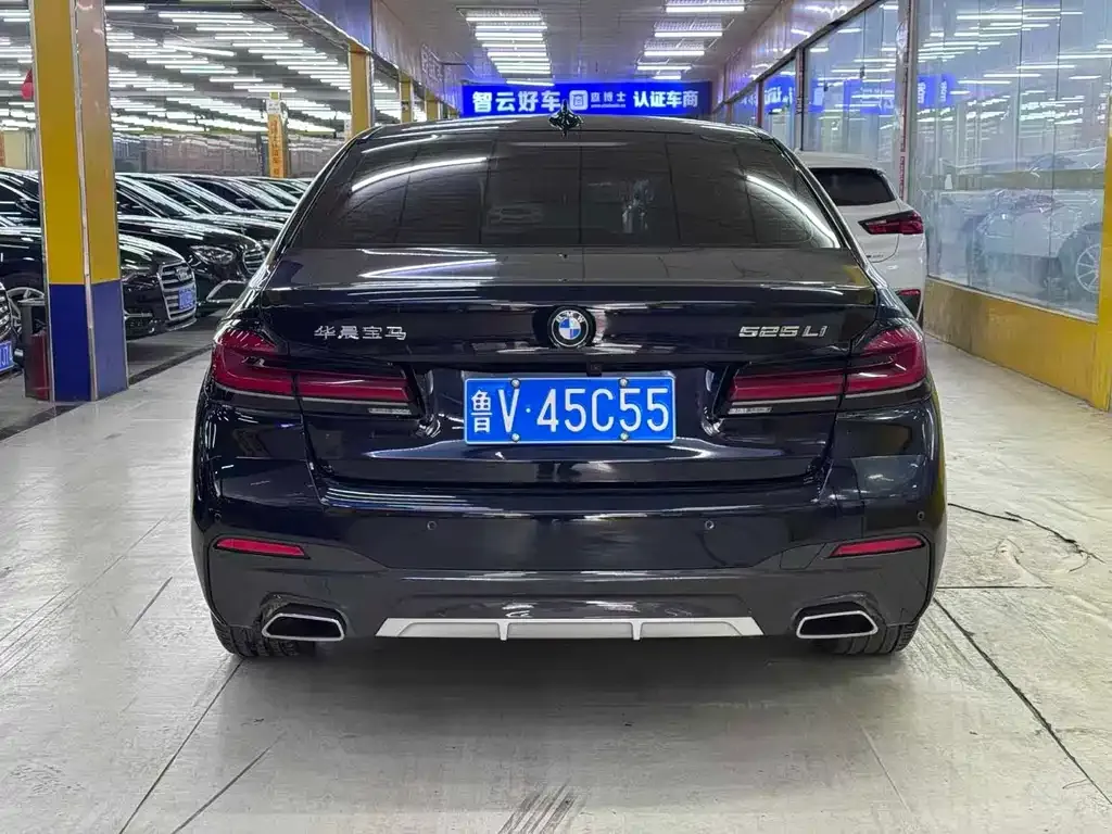BMW 5 Series 2023 из CN, фото 7